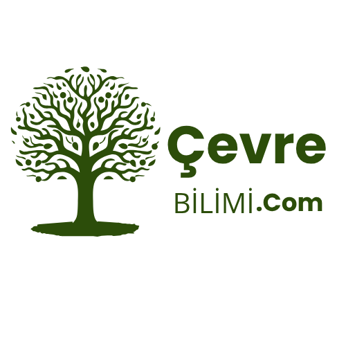 Çevre Bilimi | Çevre Mühendisliği
